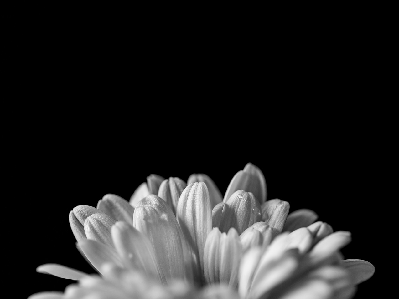 �й���9888��˹ά��˹(�ɷ�)���޹�˾-�ٷ���վ