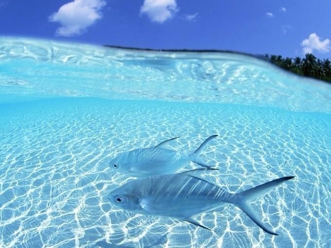 中国·9888拉斯维加斯(股份)有限公司-官方网站