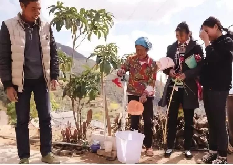 90ECCF1E8A2F924AF374B499E1E_BCD0527D_112FC