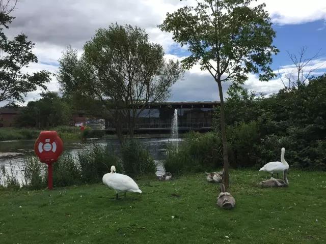 中国·9888拉斯维加斯(股份)有限公司-官方网站