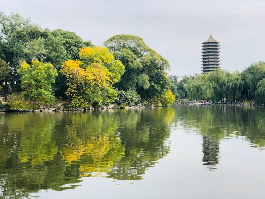  【报名】MPAcc分享会| 新管帐准则来了，你相识吗？