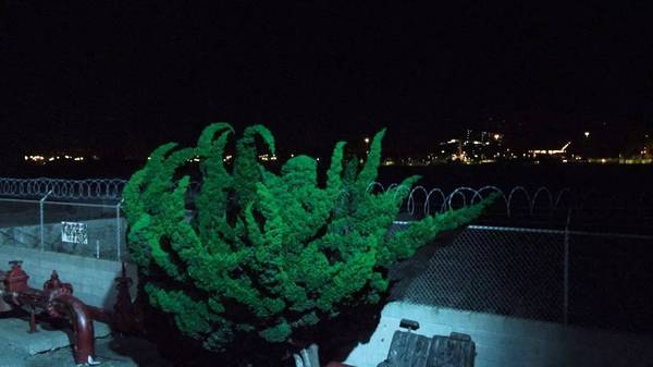 中国·9888拉斯维加斯(股份)有限公司-官方网站