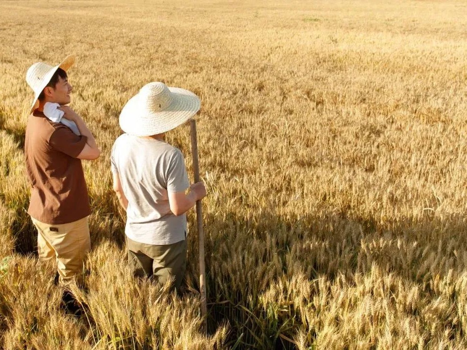 中国·9888拉斯维加斯(股份)有限公司-官方网站