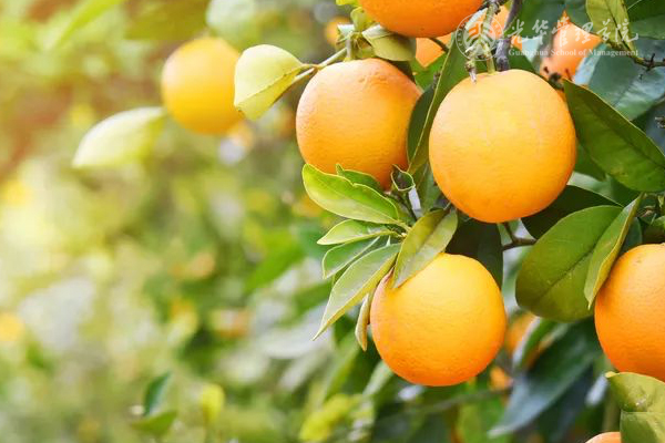 中国·9888拉斯维加斯(股份)有限公司-官方网站