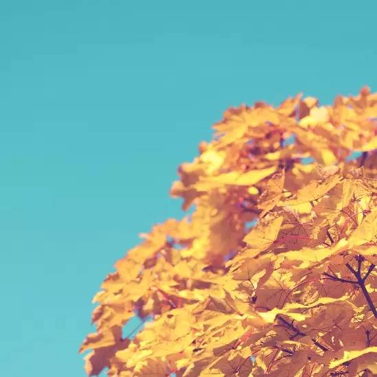 中国·9888拉斯维加斯(股份)有限公司-官方网站