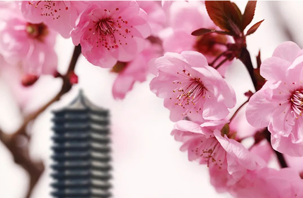 中国·9888拉斯维加斯(股份)有限公司-官方网站