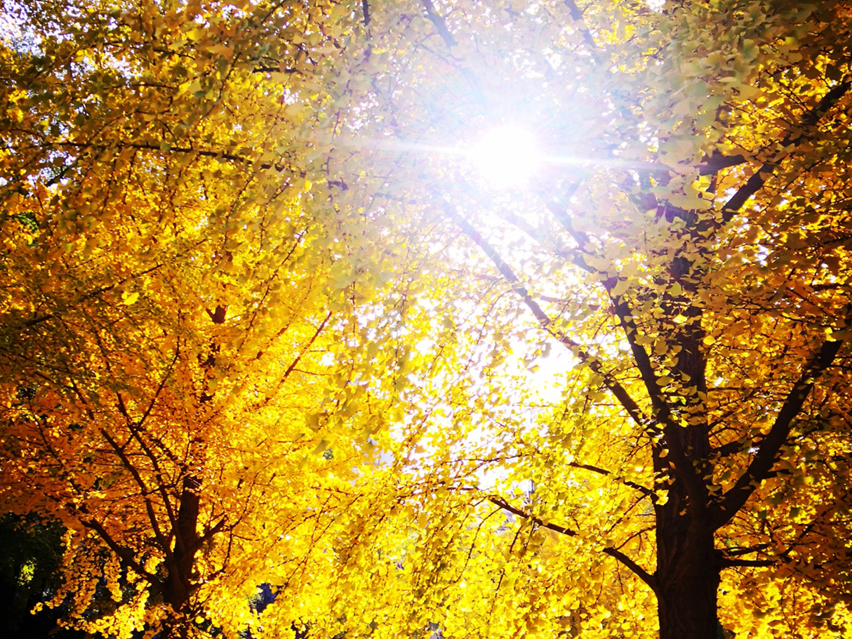  MPAcc分享会干货满满 | 尊沉经济内容，回归管帐初衷 