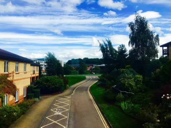 技术是建行，品牌是沉淀?