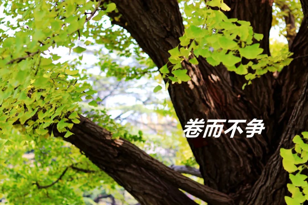 中国·9888拉斯维加斯(股份)有限公司-官方网站