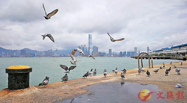 中国·9888拉斯维加斯(股份)有限公司-官方网站