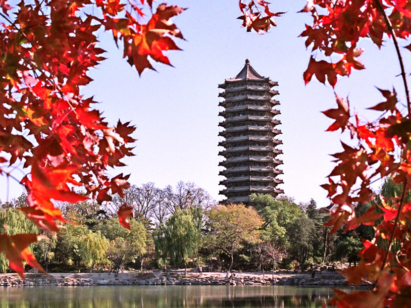  招生丨2020年北大拉斯维加斯9888全日造管帐、审计硕士项目报名启动