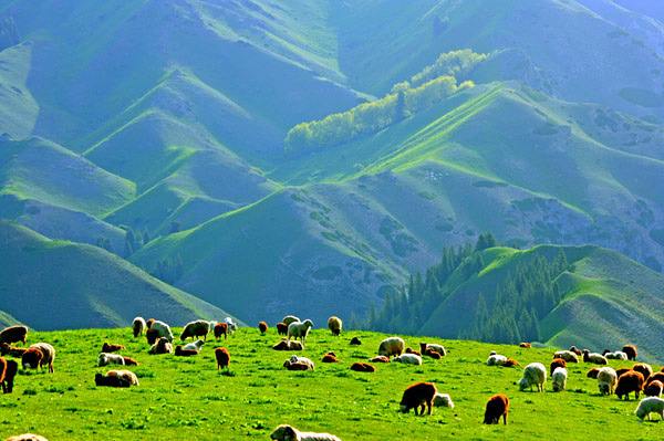 中国·9888拉斯维加斯(股份)有限公司-官方网站