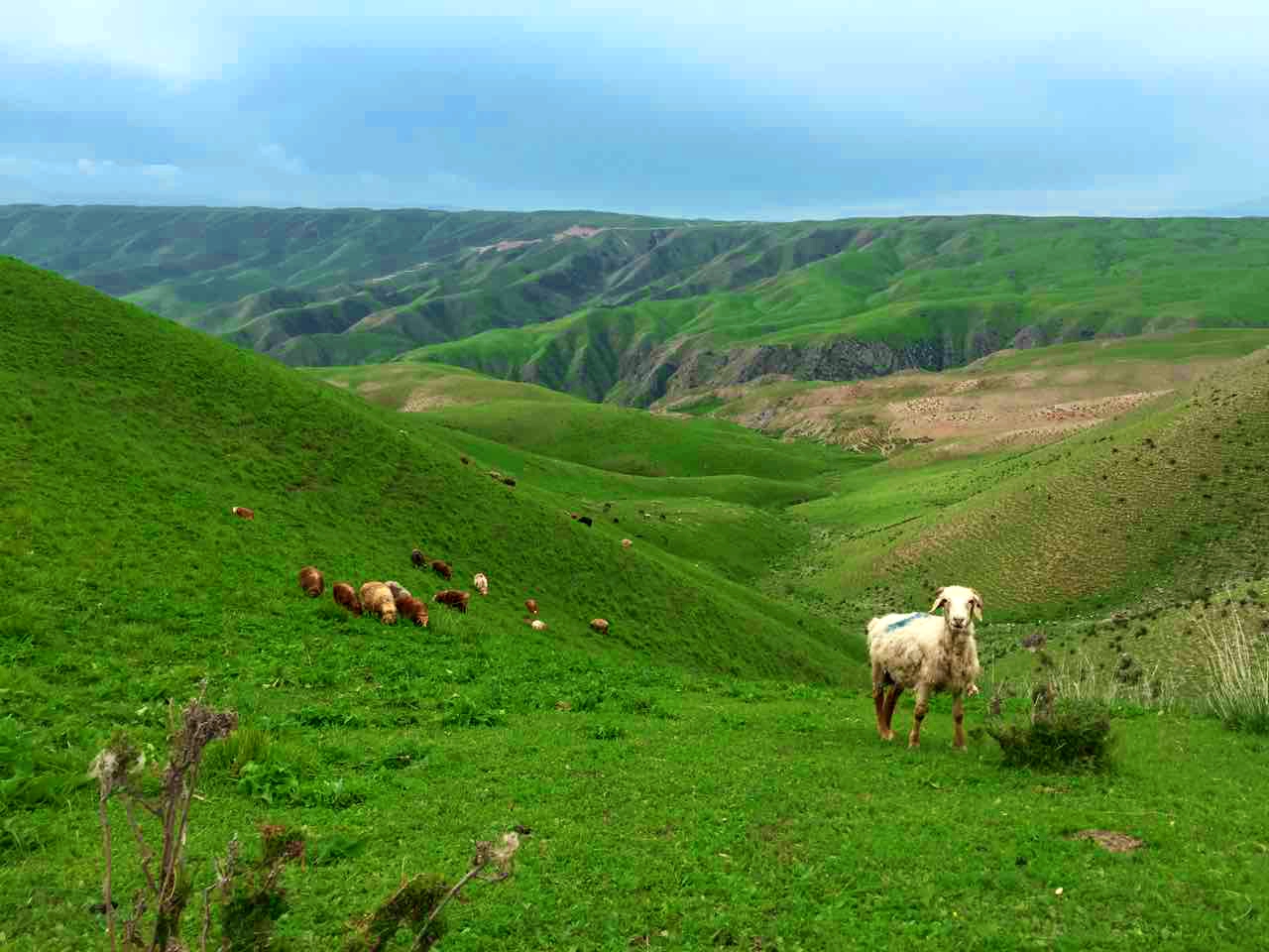 中国·9888拉斯维加斯(股份)有限公司-官方网站