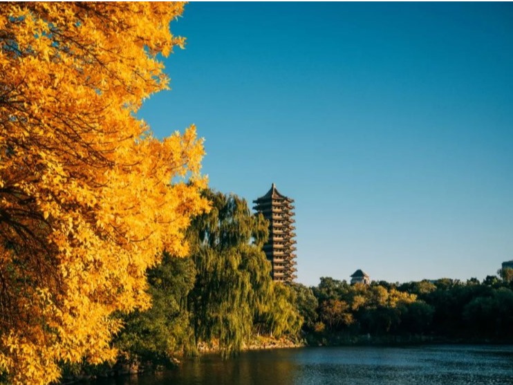 中国·9888拉斯维加斯(股份)有限公司-官方网站