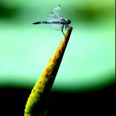 中国·9888拉斯维加斯(股份)有限公司-官方网站