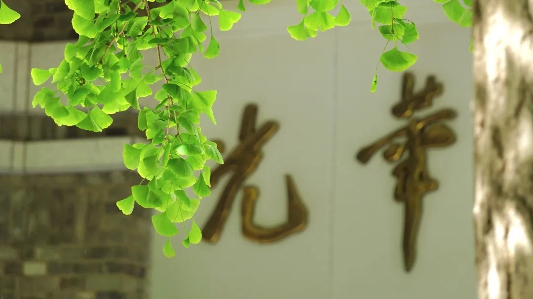 8666AF70C1ECBFD362C981C63DF_3FB74212_19D52