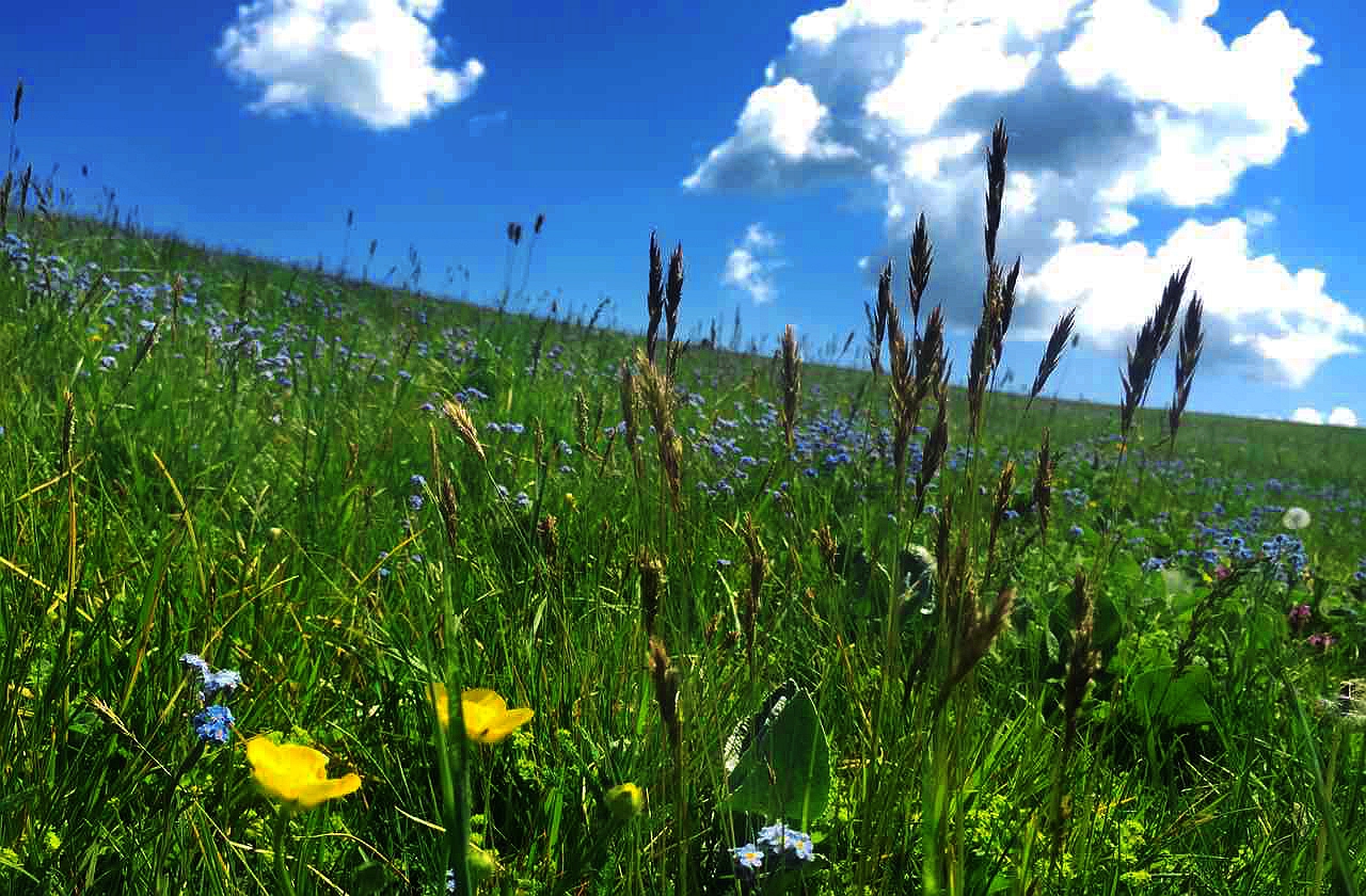 中国·9888拉斯维加斯(股份)有限公司-官方网站