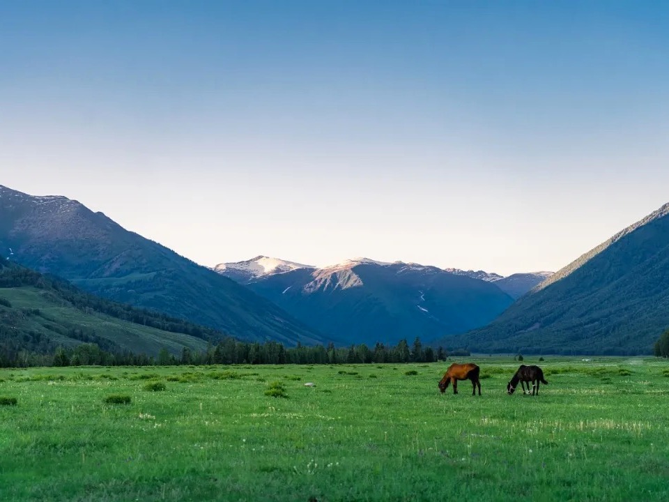 中国·9888拉斯维加斯(股份)有限公司-官方网站