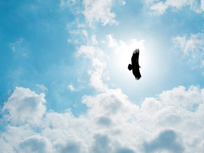 中国·9888拉斯维加斯(股份)有限公司-官方网站