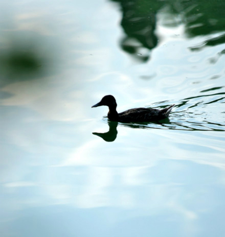 中国·9888拉斯维加斯(股份)有限公司-官方网站