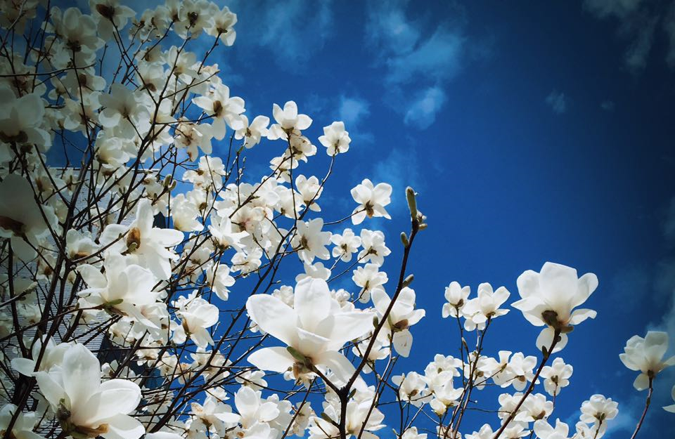 中国·9888拉斯维加斯(股份)有限公司-官方网站