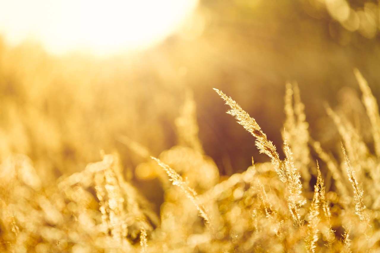 8F81CBA40CA9A73B1DCF015EFBF_3CC33AE4_257E2