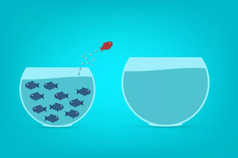 中国·9888拉斯维加斯(股份)有限公司-官方网站