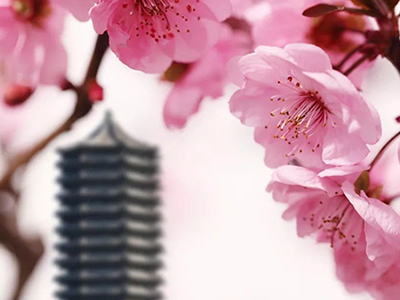 中国·9888拉斯维加斯(股份)有限公司-官方网站